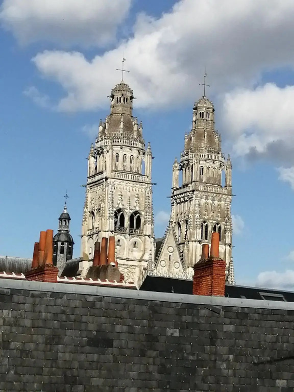 Hotel Du Cygne Tours