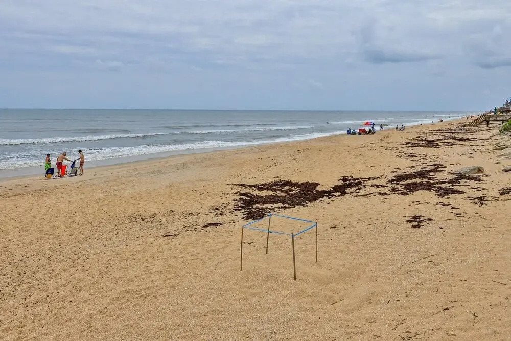 Beachfront Chadham by the Sea With Riverviews Quiet Car-free Beach Location Ch419