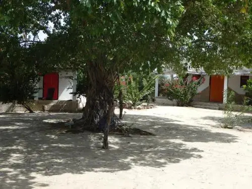 Le Bazouk Du Saloum