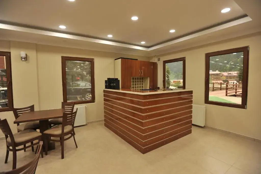 Uzungol Soylu Hotel