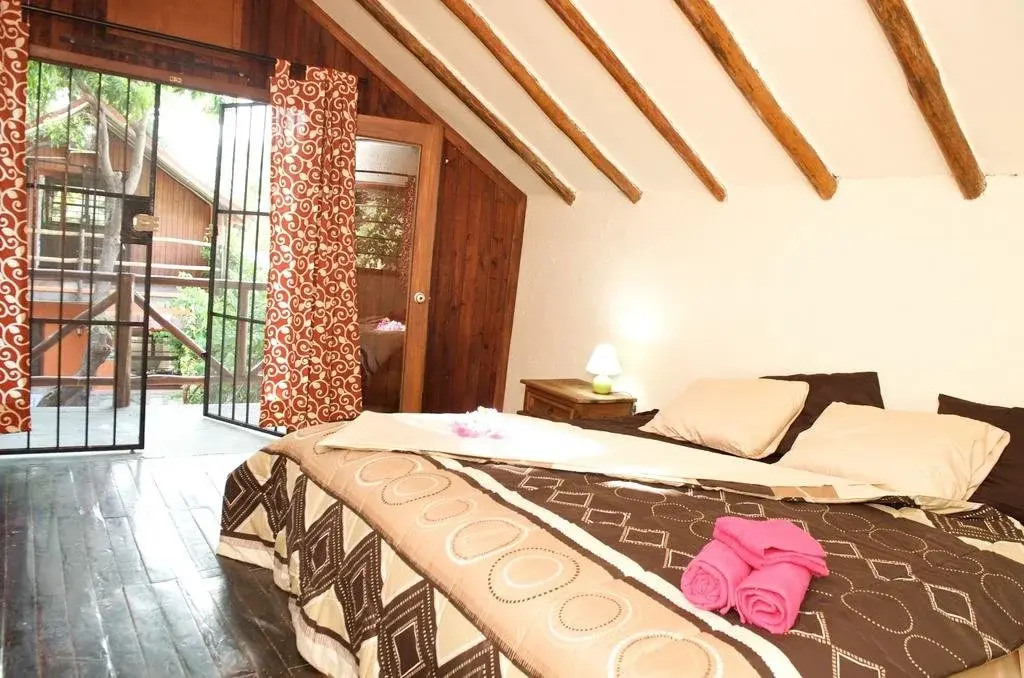 Casa Mango