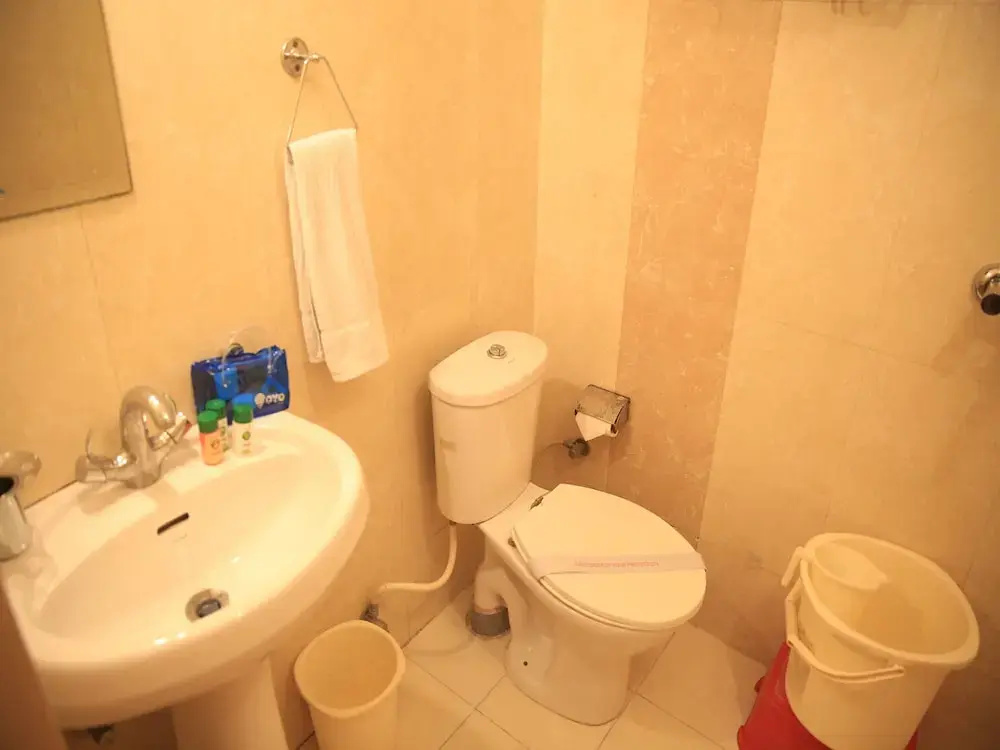 OYO 4300 Hotel The Royal Placid