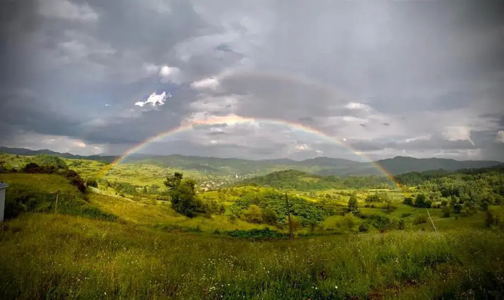 Valea Vinului Suite