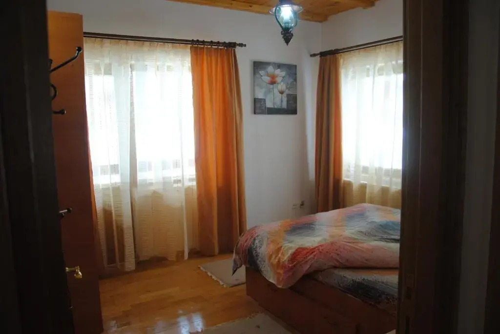 Vila Yunis