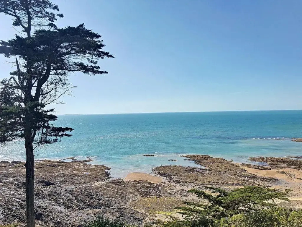 Appartement Saint-Pair-sur-Mer, 1 pièce, 2 personnes - FR-1-361-40