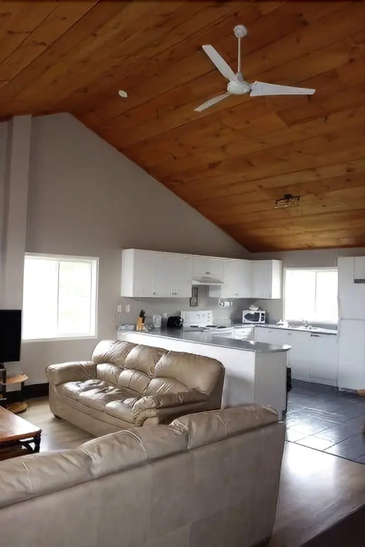 The Lodges at Blue Mountain - Chalets