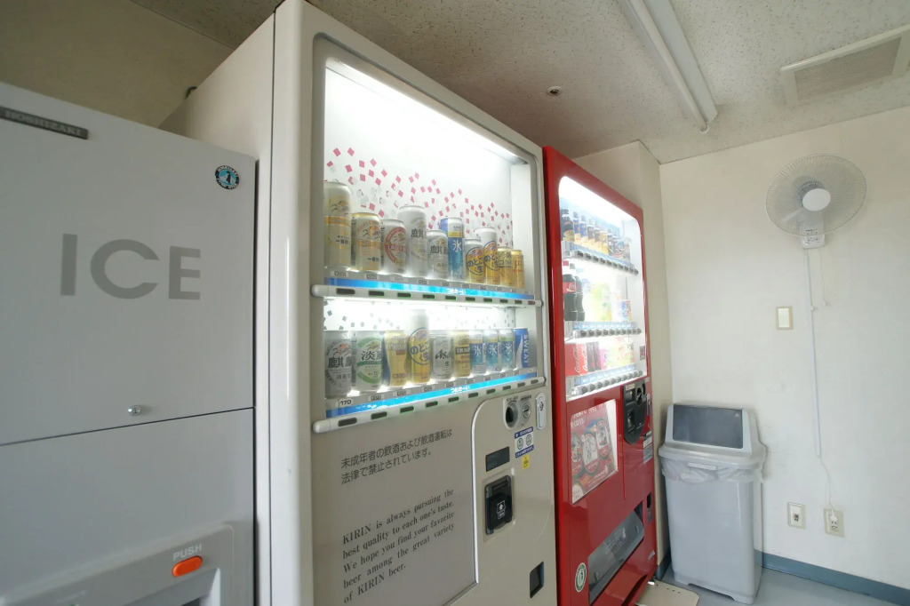 Shin Iizuka Station Hotel