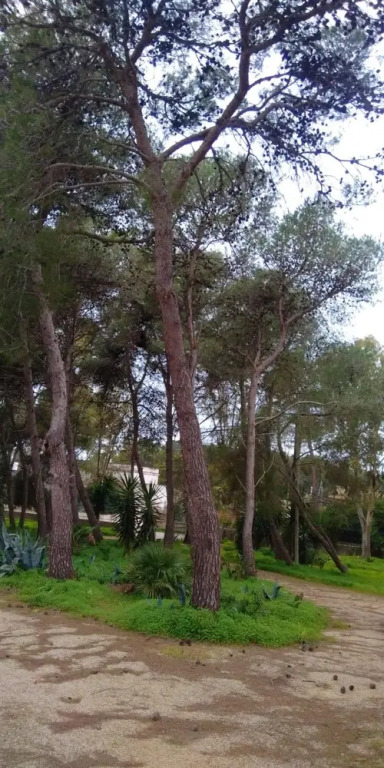 Studio in Cenate di Nardo, With Furnished Terrace