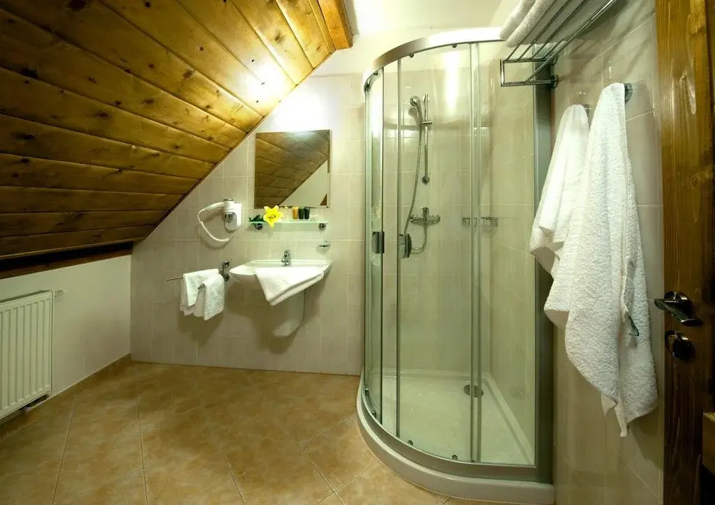 Wellness Hotel Holzberg - krytý relaxační bazén, dětský bazén, whirlpool, sauna, restaurace, bowling, venkovní hřiště, herna, pingpong, billiard