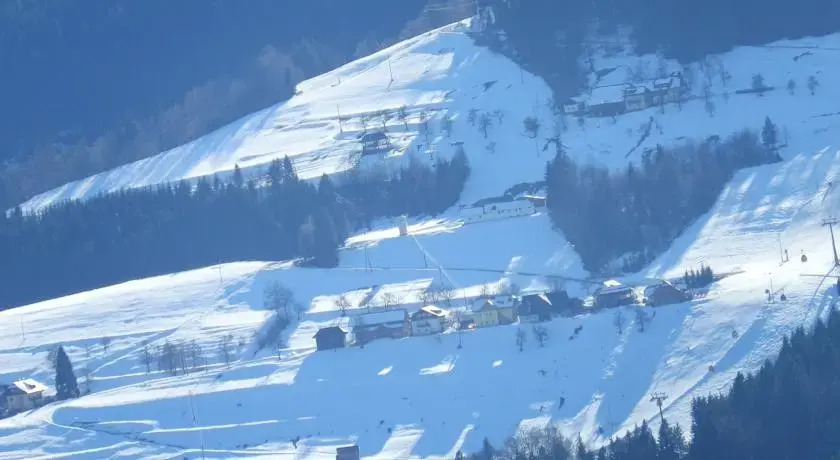 Kollerhof
