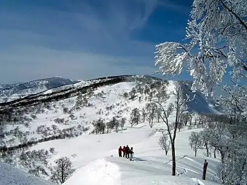 Togari Onsen Alpine Plaza - Vacation STAY 02778v