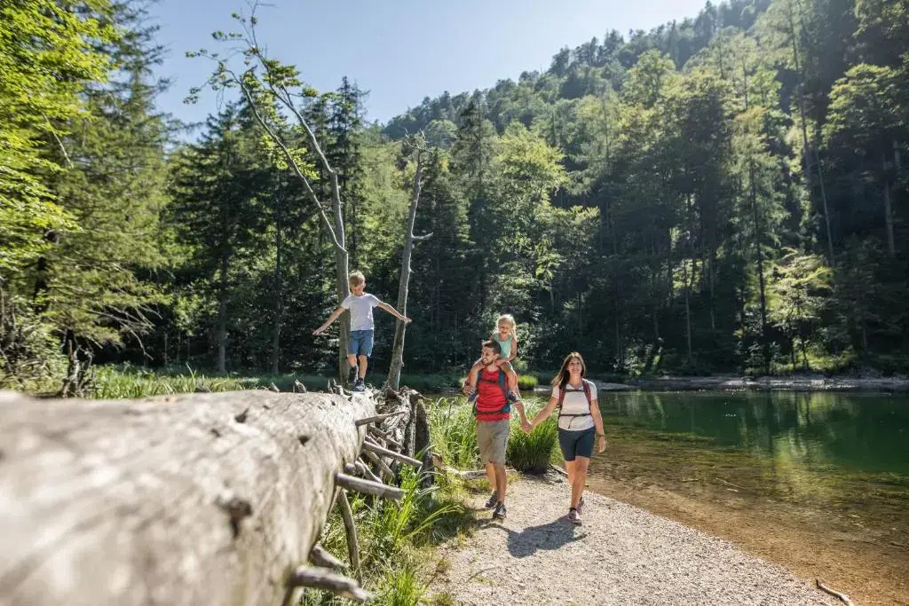 Hotel Fischerwirt Natur WaldSPA