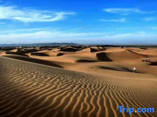 Shapotou Xingyue international camping base