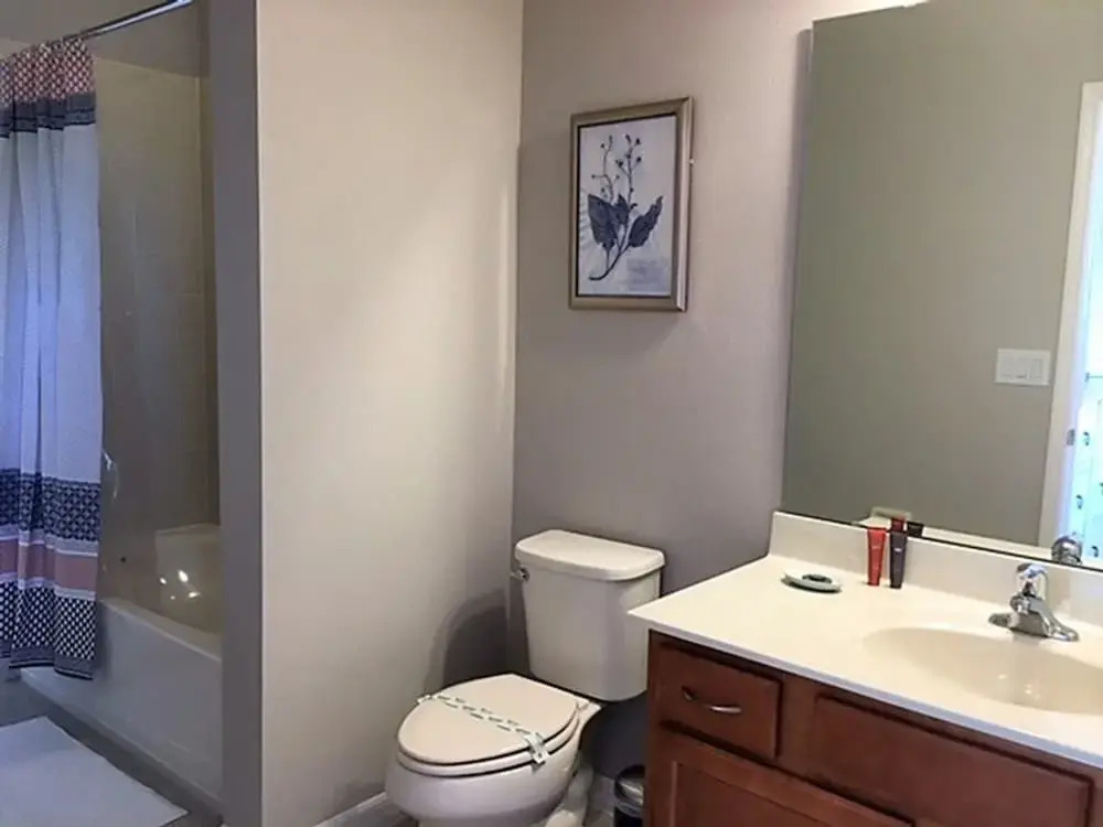 4444 Shiva Loop