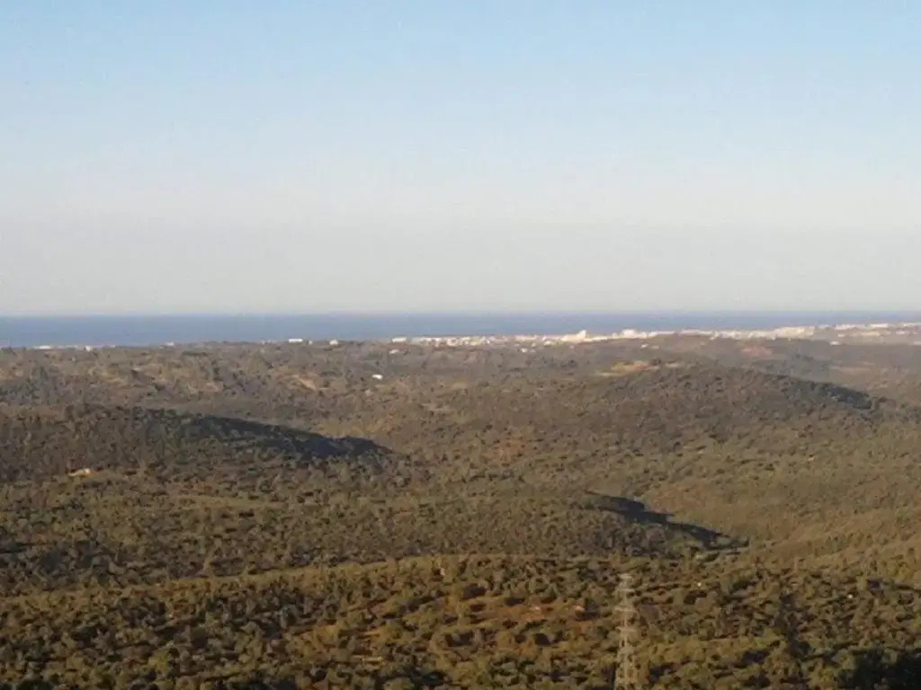 Casa Adega - Quinta Amoreira