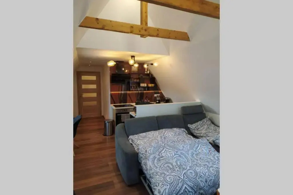 Apartman Ateliér Vary v nově zrekonstruovaném domě