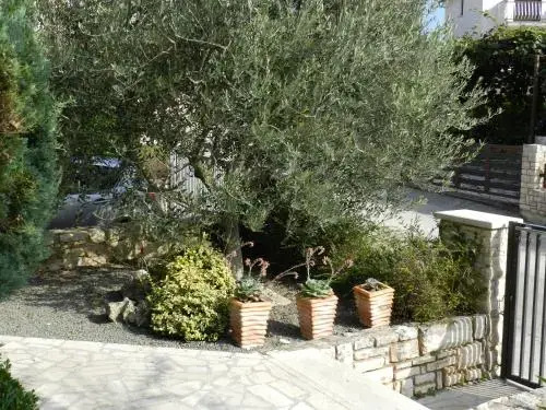 Apartments Lodra