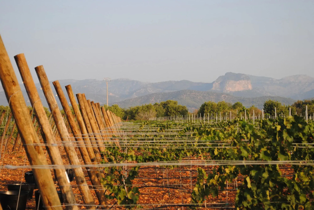 Weingut & Landhotel Can Davero