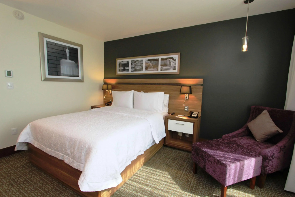 Hampton Inn by Hilton Leon