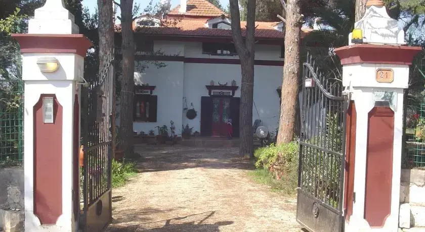 Ombra dei Pini