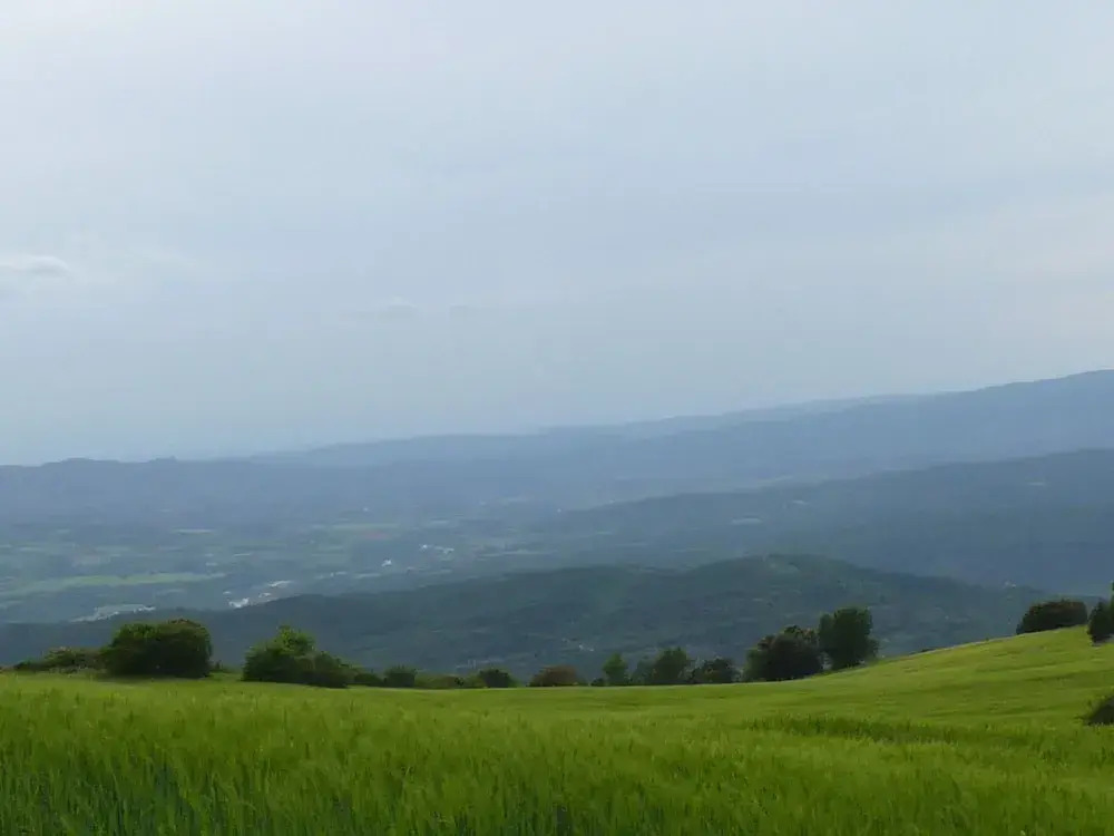 Idyllic Country House in the Foothills of the Pyrenees