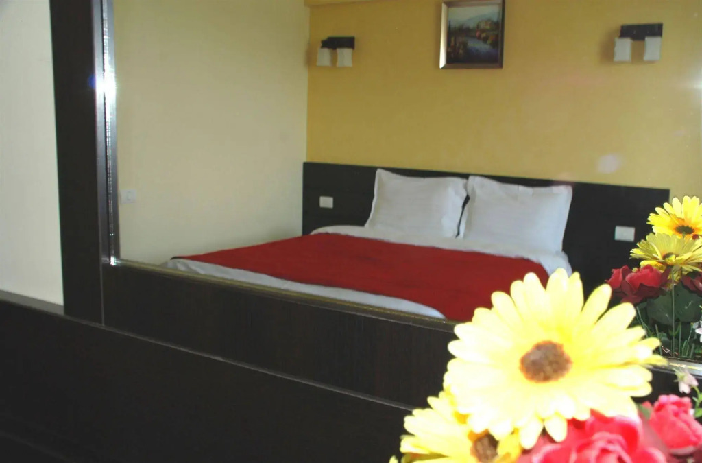 Hotel Ancor