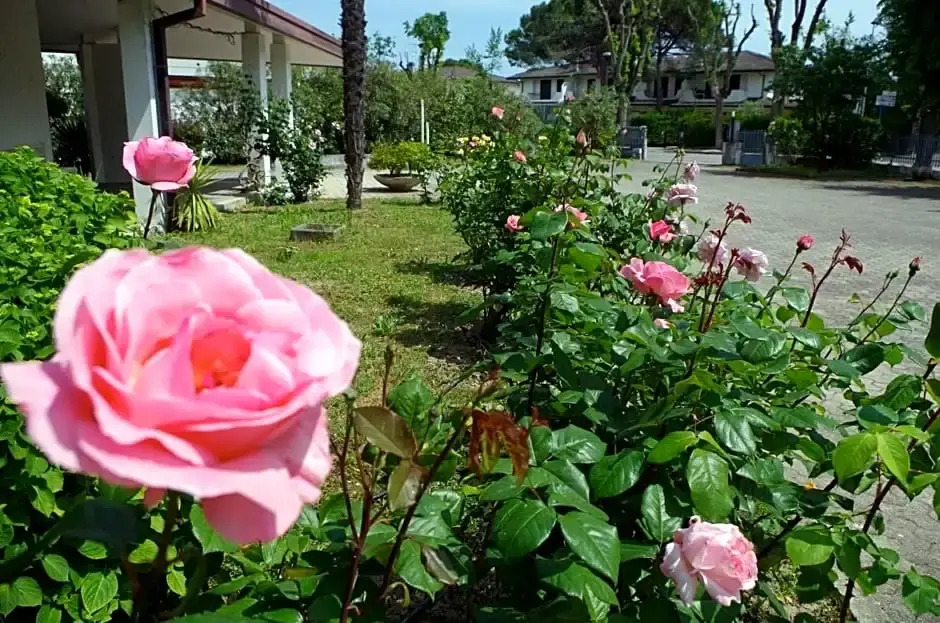 B&B Cà dArtisti