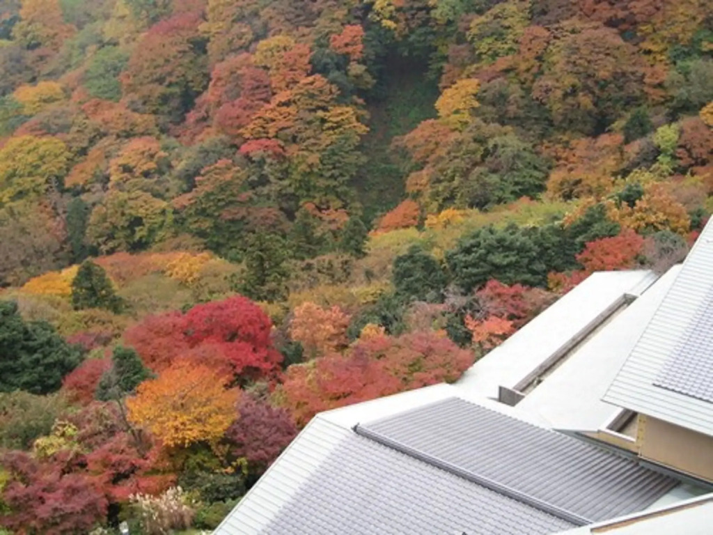 Takimotokan Yuki No Sato