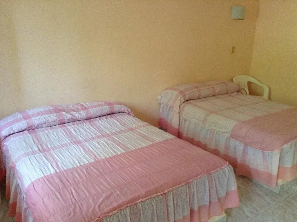 Hotel Tecozautla