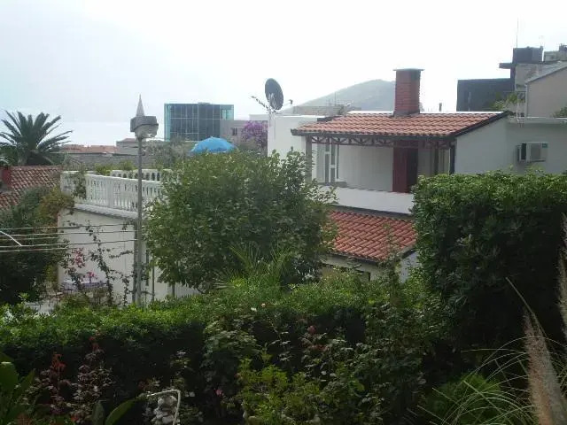 Zenović House