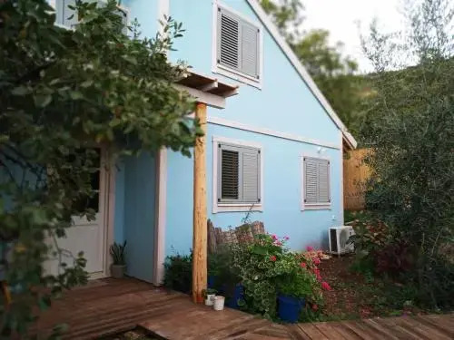 Blue House In The Woods- Amirim
