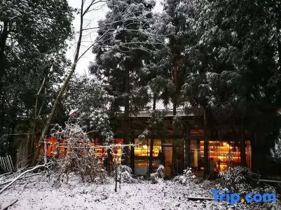 The Micro Hostel Mt. Emei