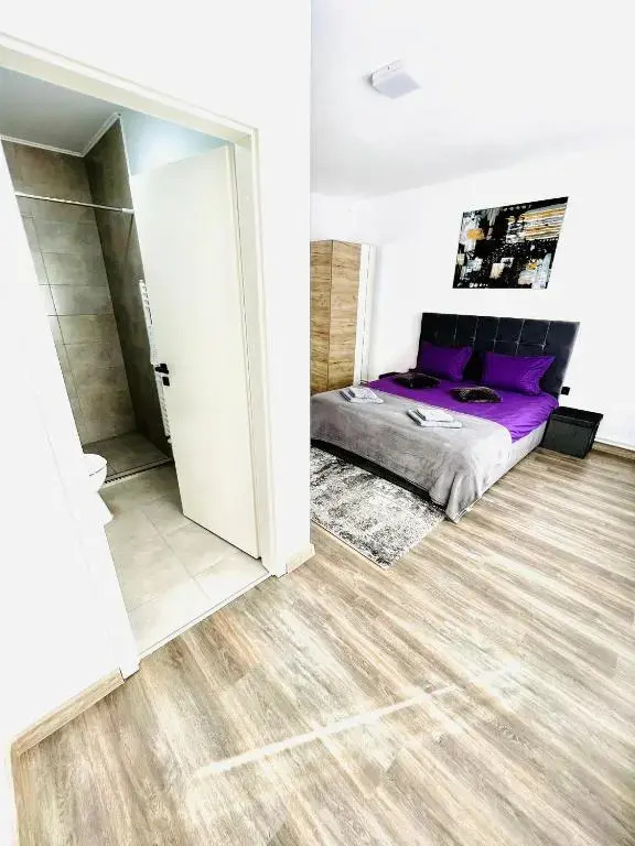 Silver House Rasnov