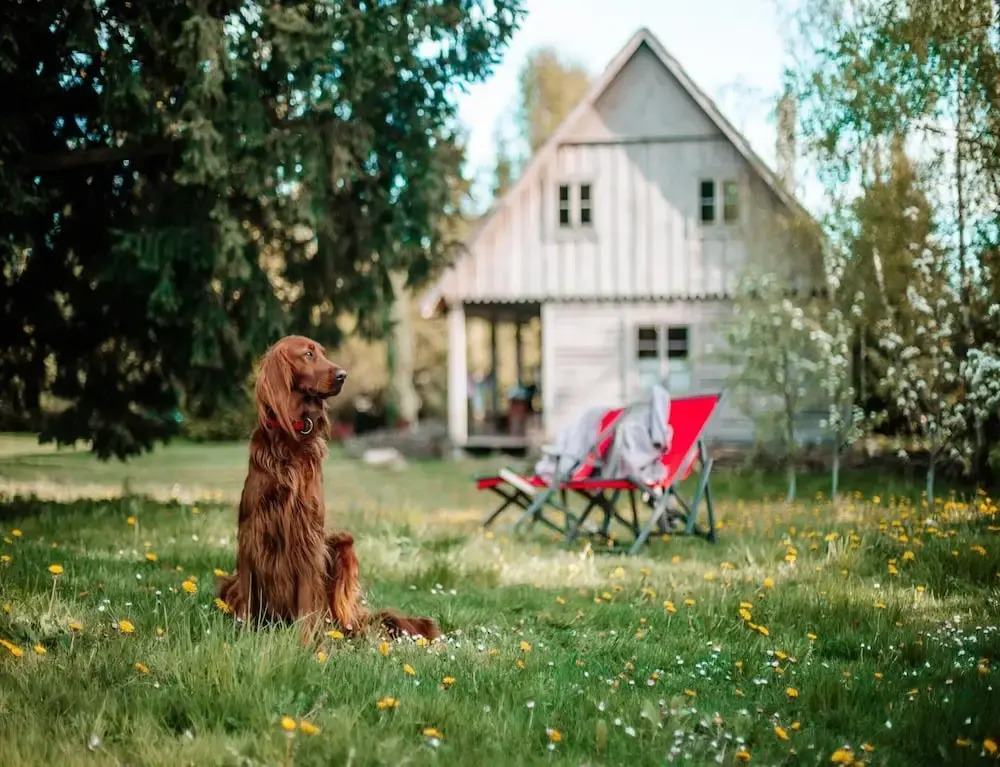 Holiday Home in Belczna Near Lake and Forests