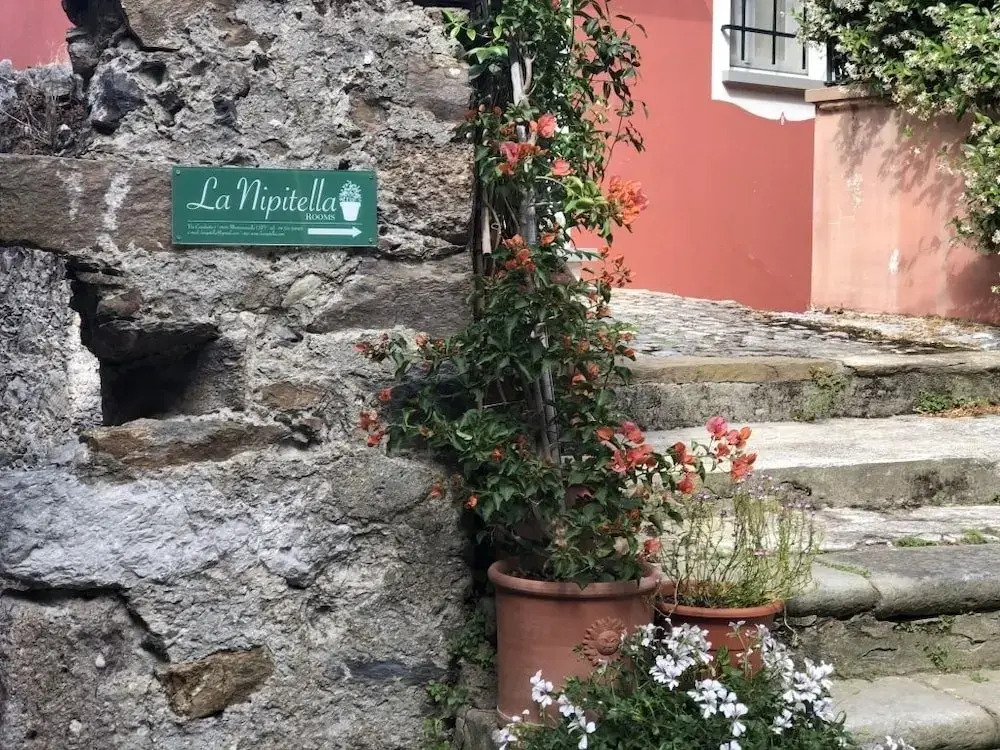 La Nipitella