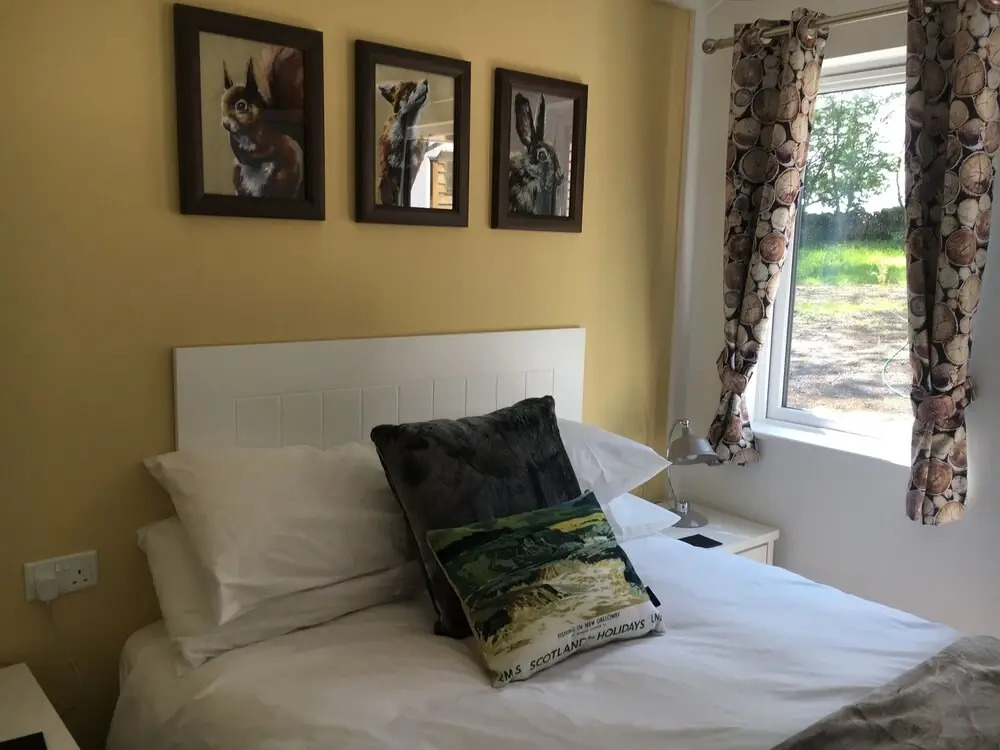 Squirrel Lodge 41 with Hot Tub, Newton Stewart