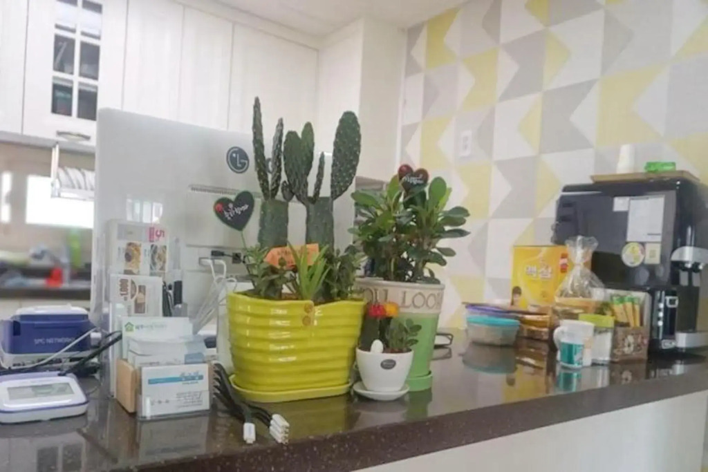 Jeju Shym Dream Guest House