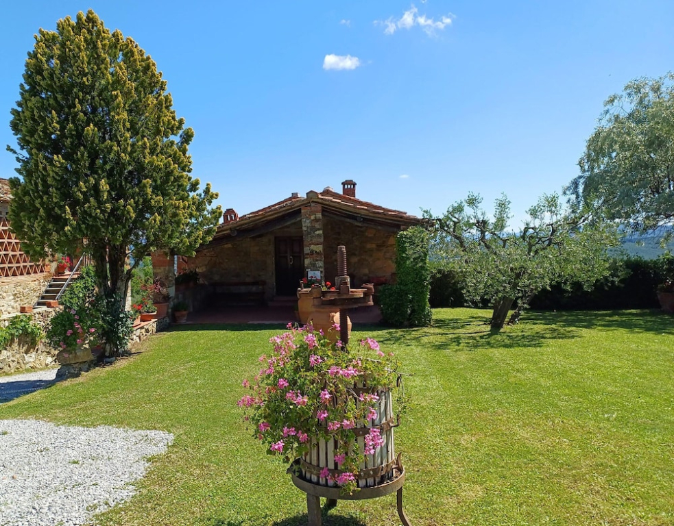 Farmhouse in Tuscany With Olive Grove Views