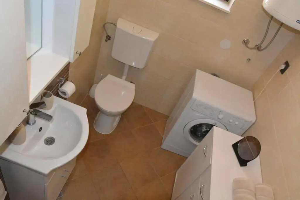 Sole