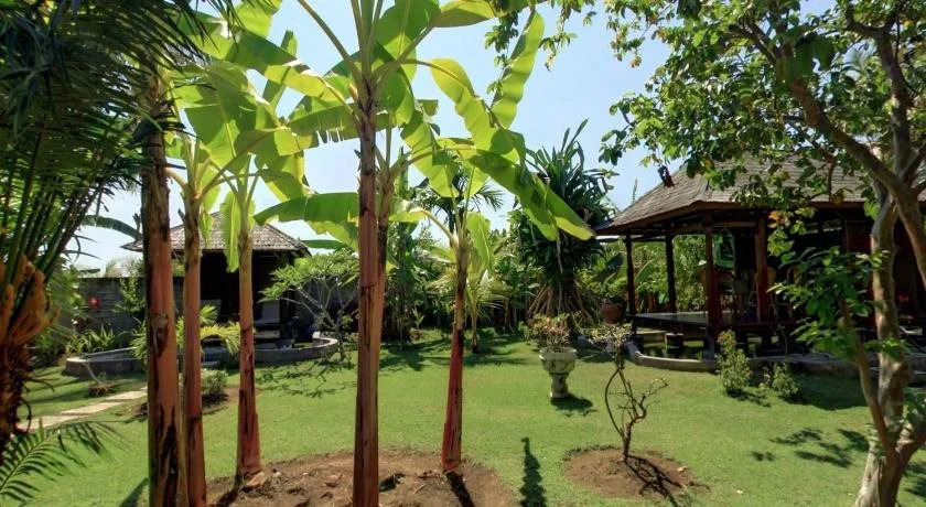 Sawah Lovina