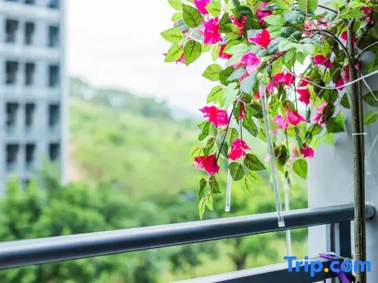 Guangzhou GlobalJoyStay Homestay(Junming Paradise Branch))