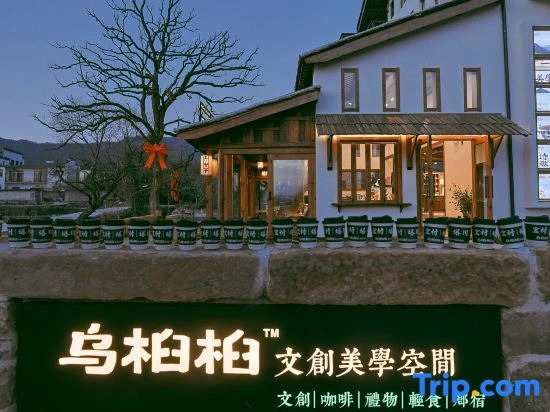 Hongcun Wujiujiu Creative Aesthetics Space Homestay