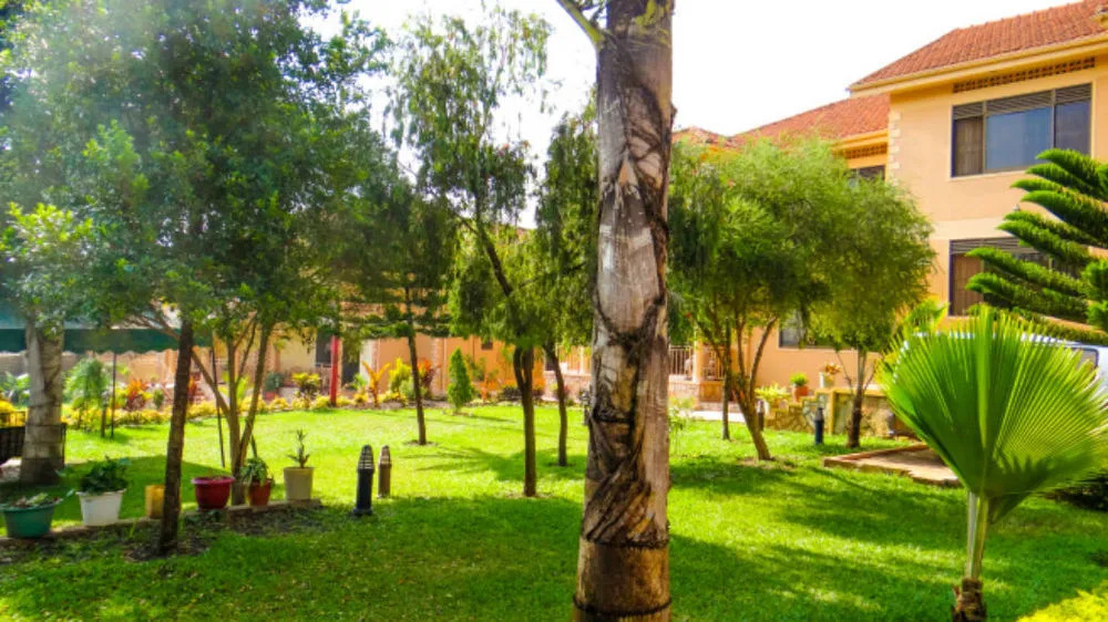 Apricot Guest House