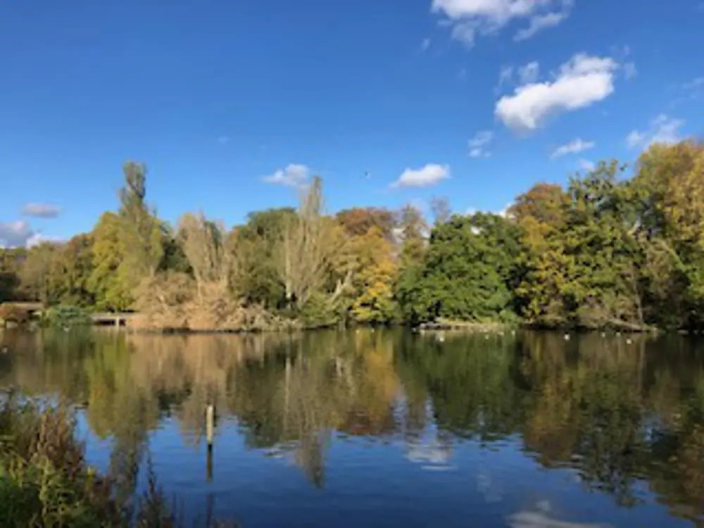 Lovely and Comfortable 1-bed Apartment in Bromley