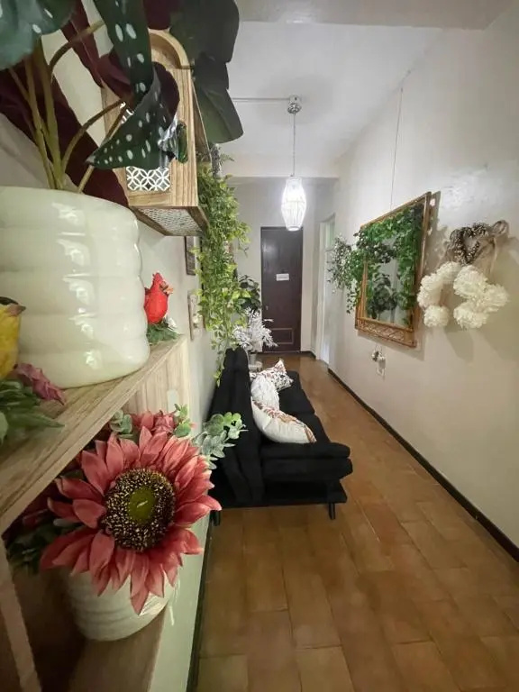 The Garden Apartment, The Willow Apartment, & The Tropical Apartment at Casa of Essence in Old San Juan