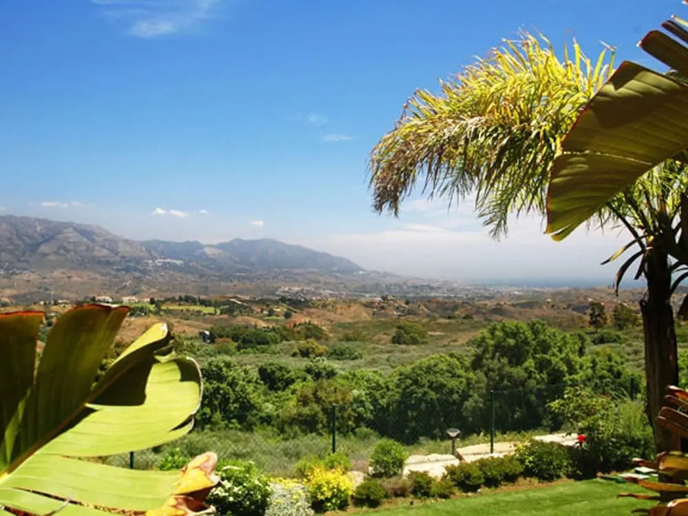 Sunny Terrace Near Marbella