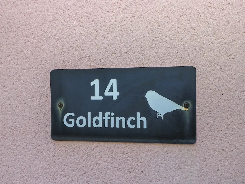 Goldfinch
