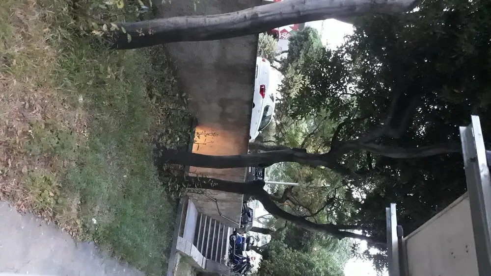 Apartment Marino