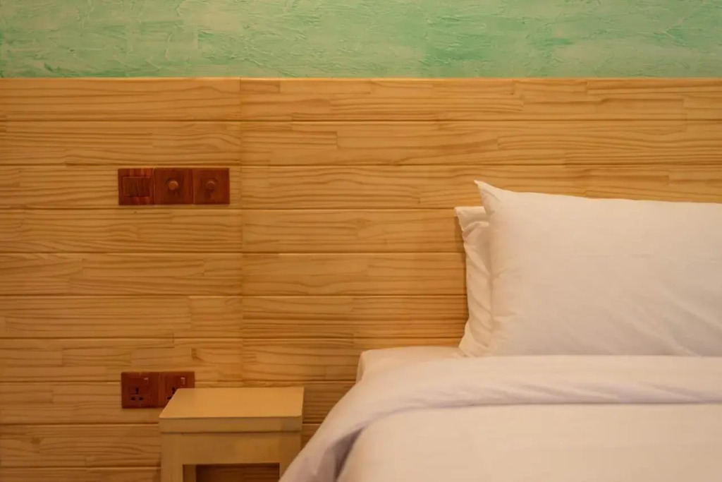 Turtle Maldives - Your Gateway to the Beach & Marine Adventures Await