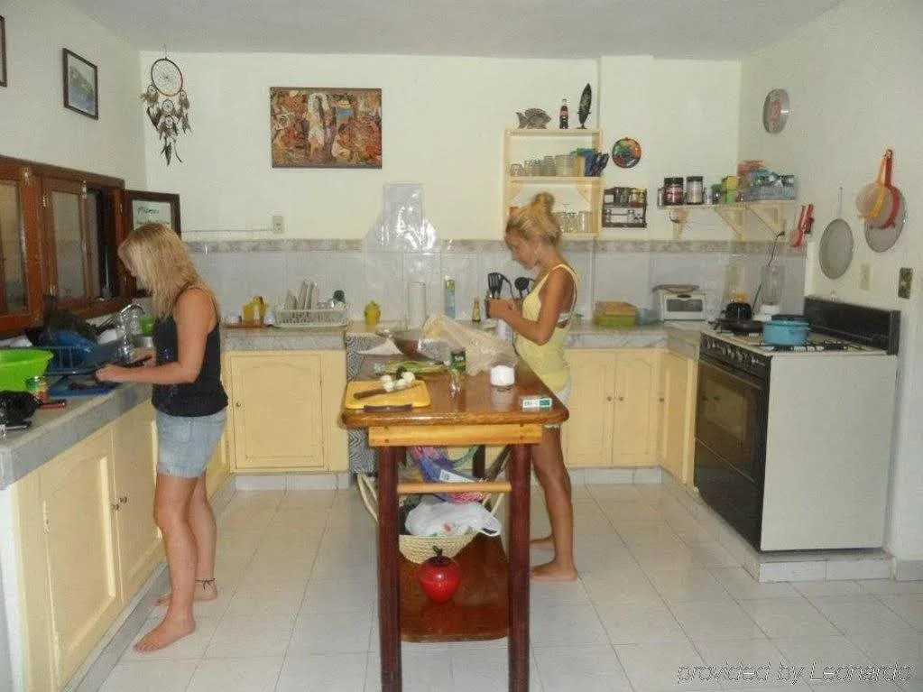 Beachouse Dive Hostel Cozumel